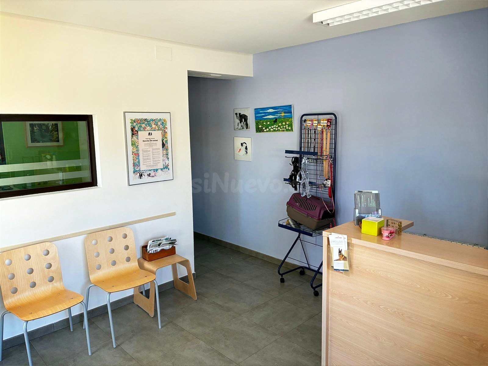 AMPLIO Y LUMINOSO LOCAL COMERCIAL - foto 4
