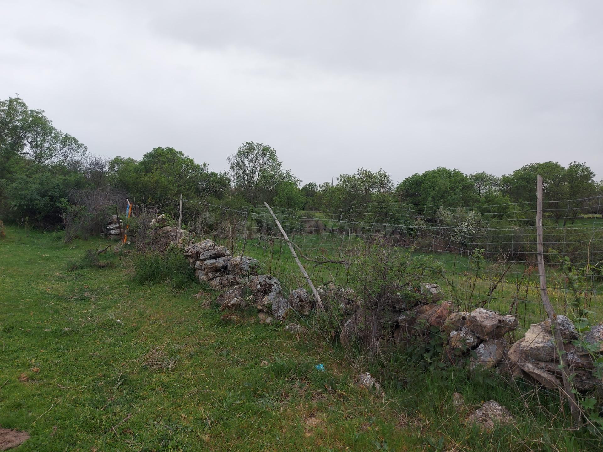 Finca rústica en venta en Torrecaballeros - foto 4