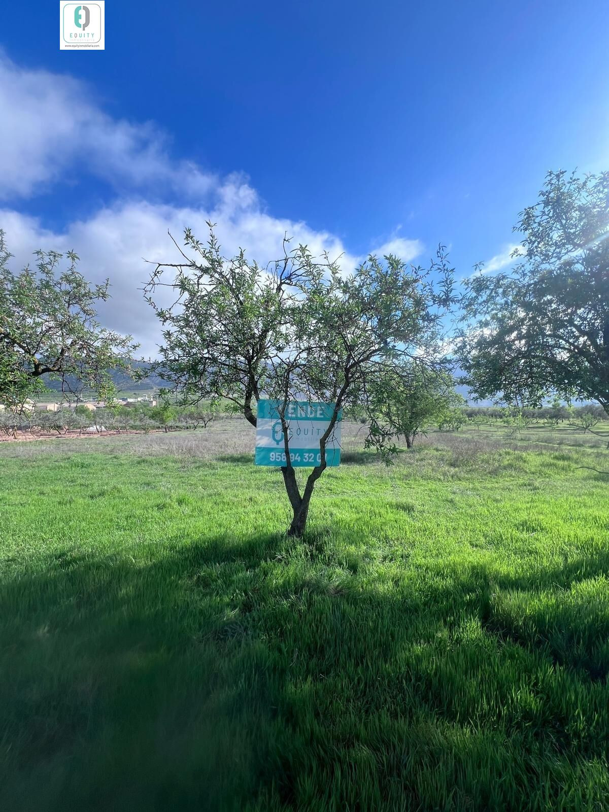 TERRENO RUSTICO EN PADUL