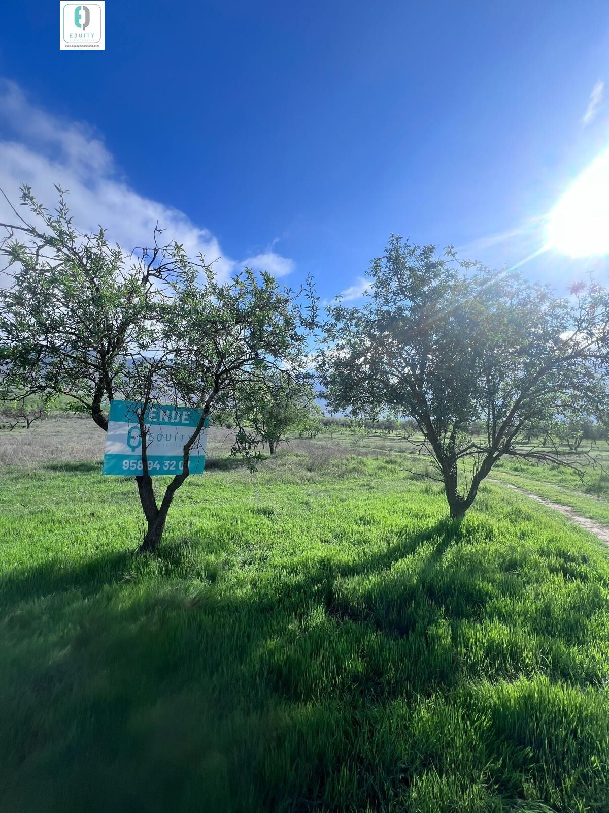 TERRENO RUSTICO EN PADUL - foto 4