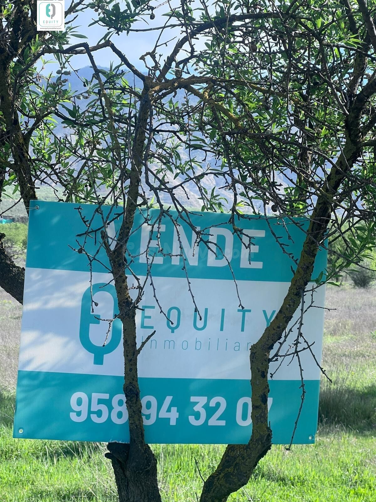 TERRENO RUSTICO EN PADUL - foto 5