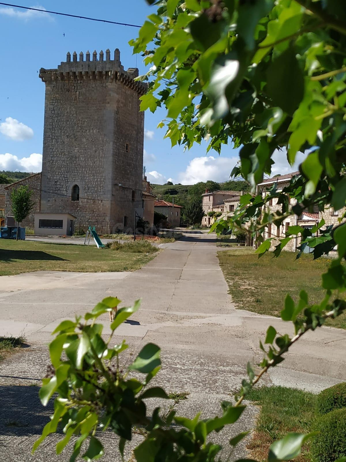 CASTILLO HISTÓRICO OLMOS DE LA PICAZA - foto 3