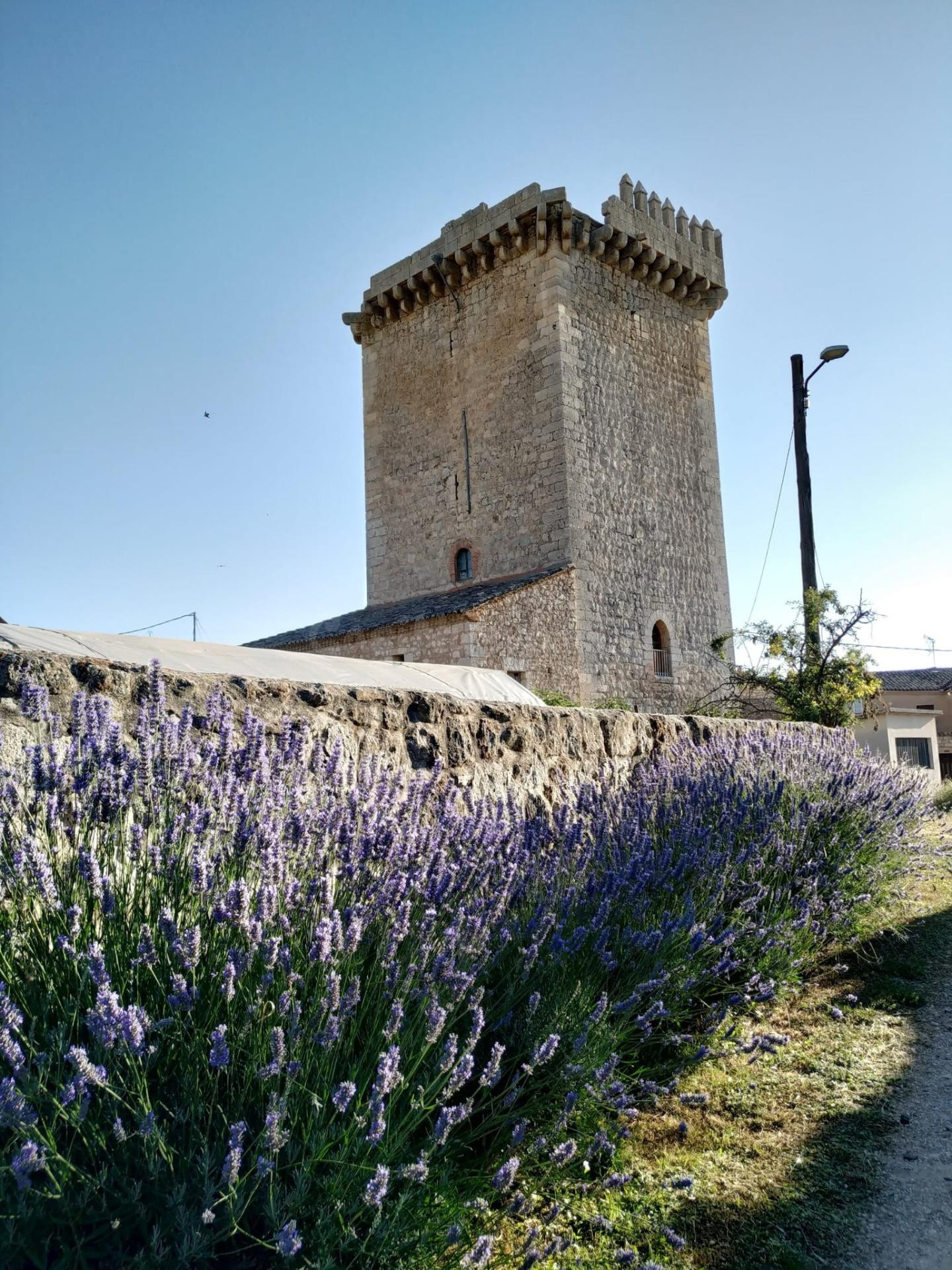 CASTILLO HISTÓRICO OLMOS DE LA PICAZA - foto 5