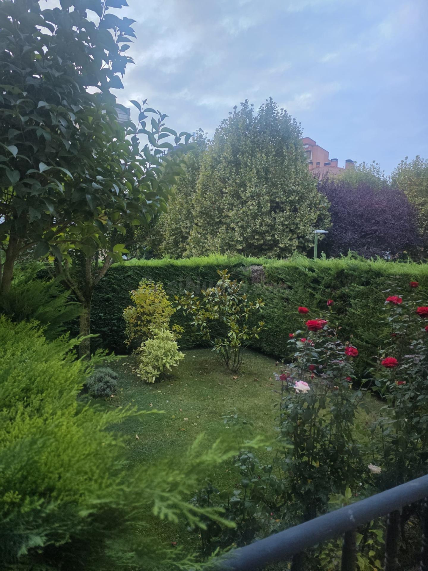 APARTAMENTO CON  GRAN JARDIN