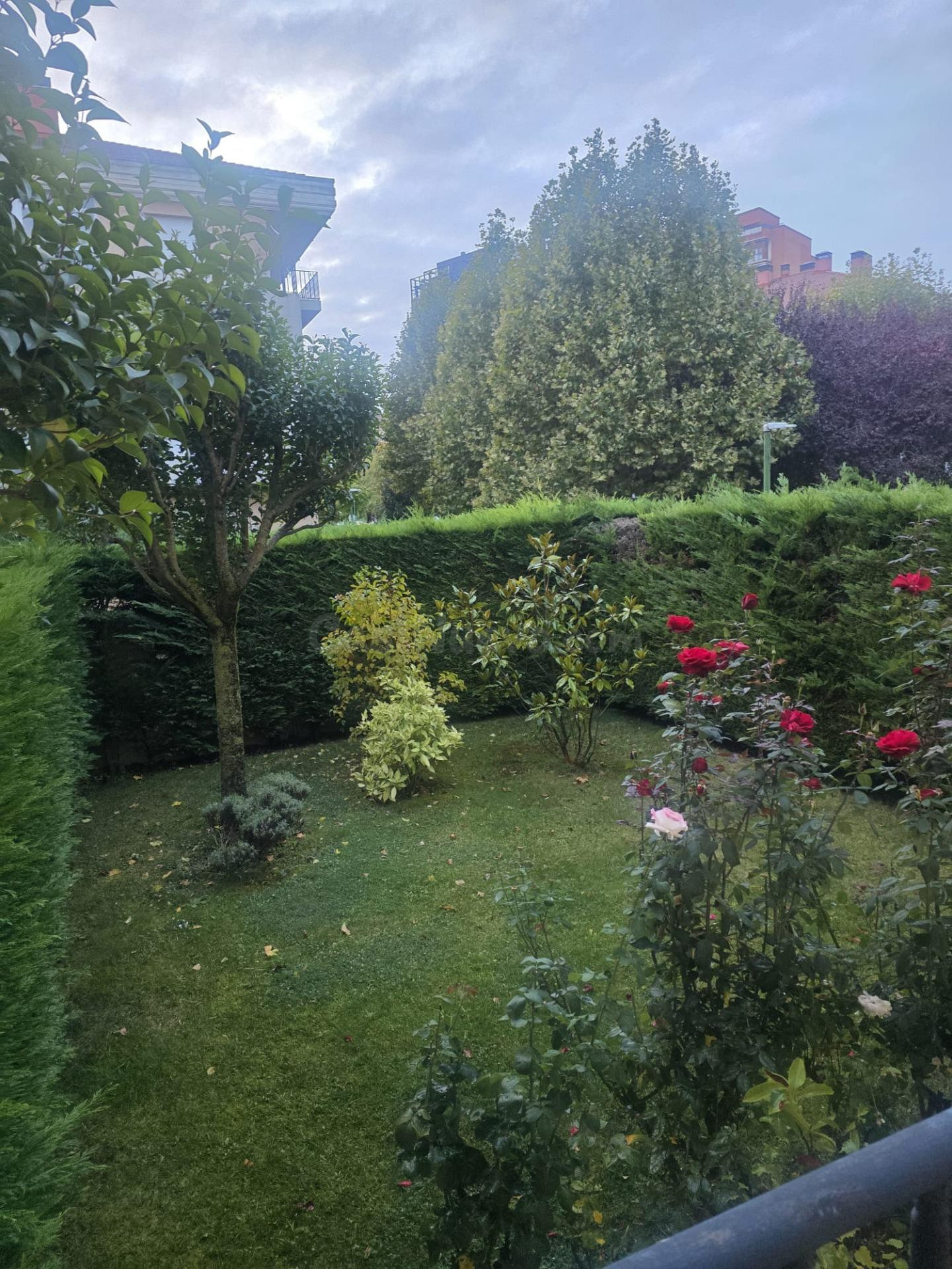 APARTAMENTO CON  GRAN JARDIN - foto 3