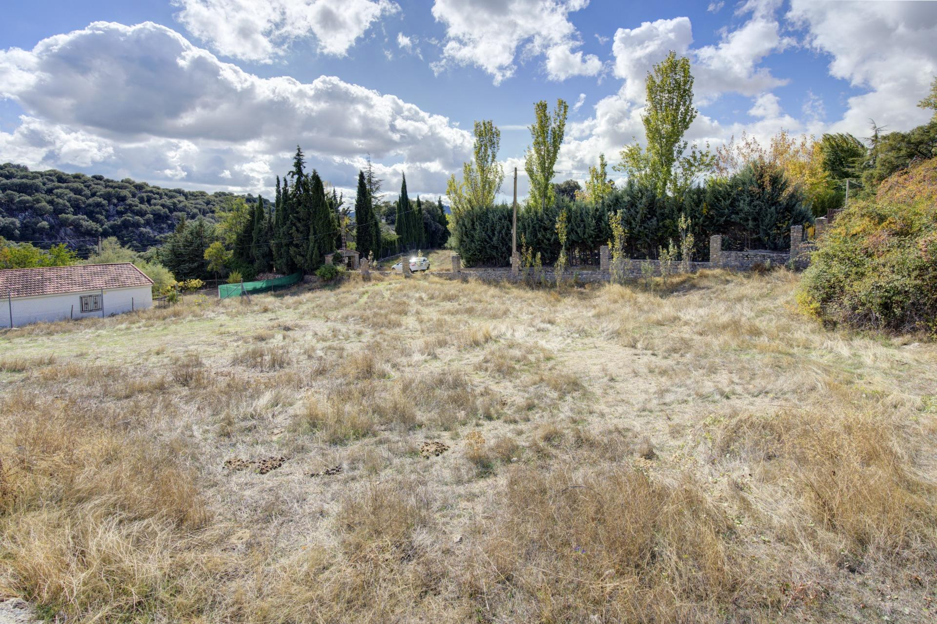 TERRENO 1.625m2 CON AGUA Y LUZ (PRADO NEGRO) - foto 3