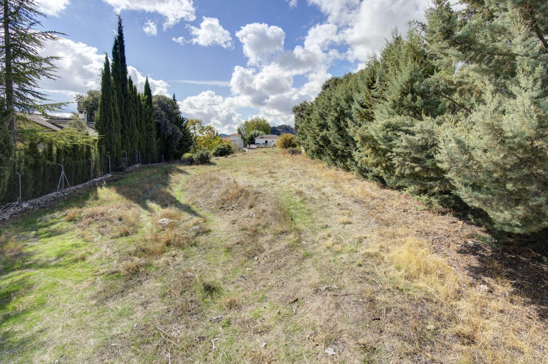 TERRENO 1.625m2 CON AGUA Y LUZ (PRADO NEGRO) - foto 4