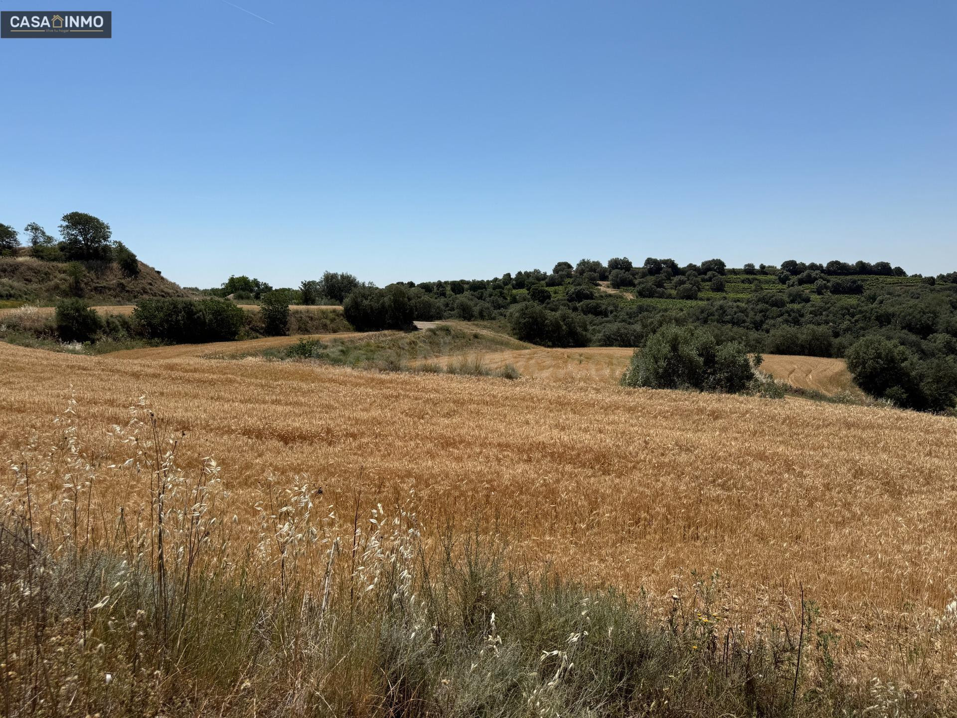 Se vende terreno rustico en Burceat. - foto 3