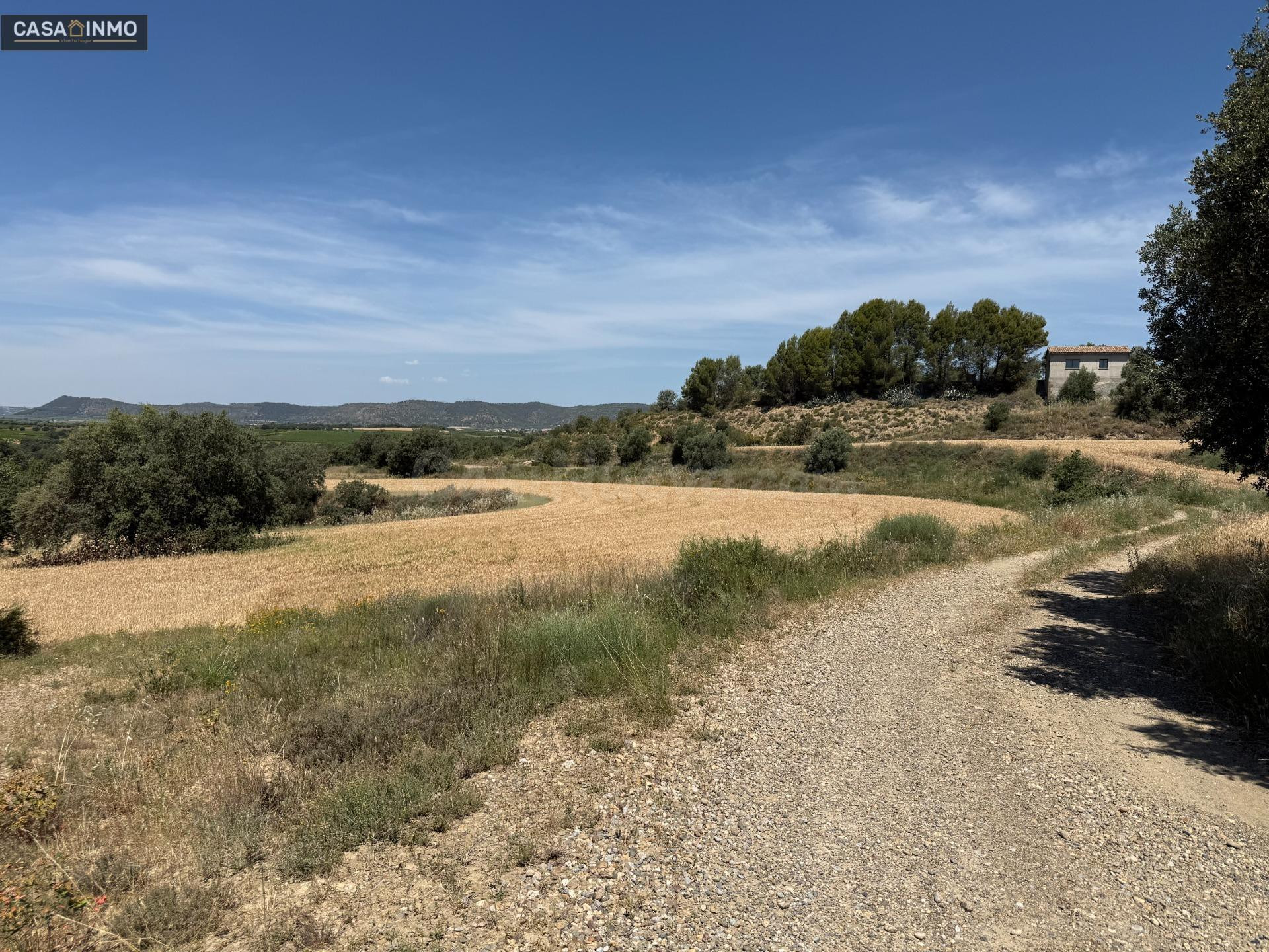 Se vende terreno rustico en Burceat. - foto 4