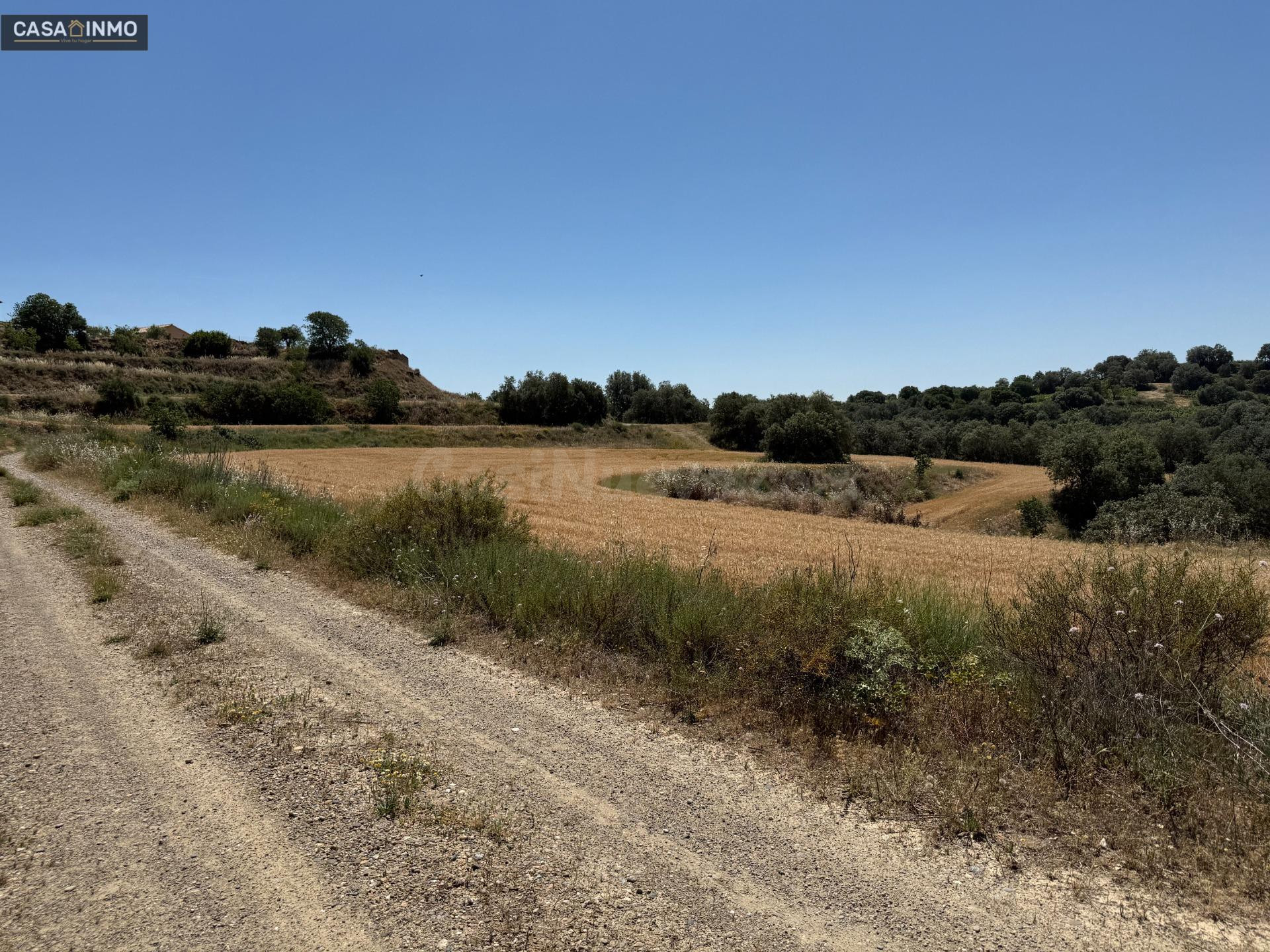 Se vende terreno rustico en Burceat. - foto 5