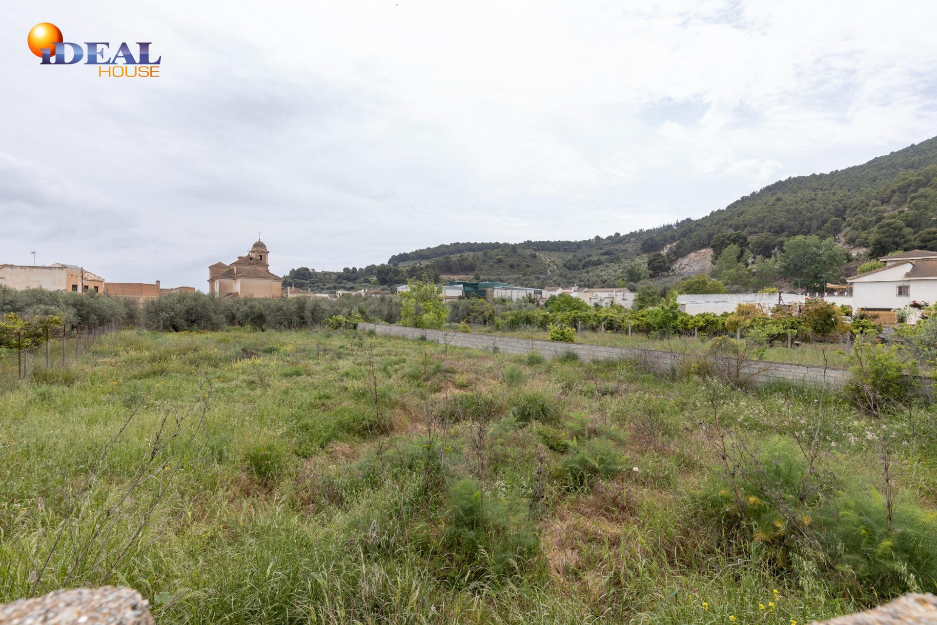 ESPECTACULAR TERRENO DE 876M2 EN PINOS DEL VALLE - foto 4