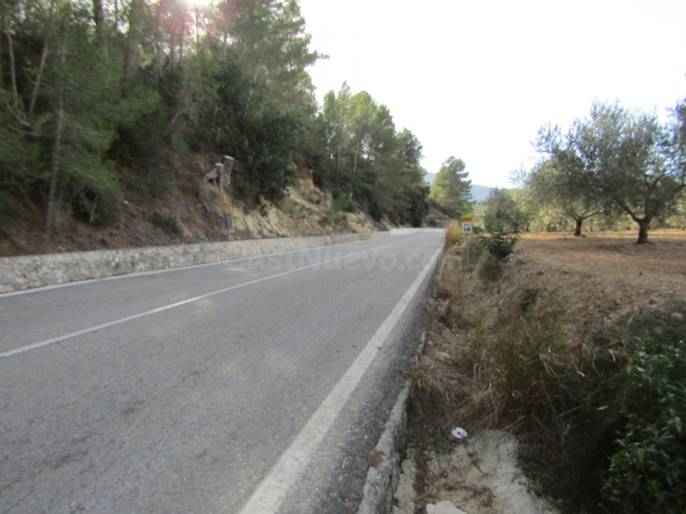 SE VENDE TERRENO DE OLIVOS EN RÀFOL DE SALEM (VALENCIA) - foto 2