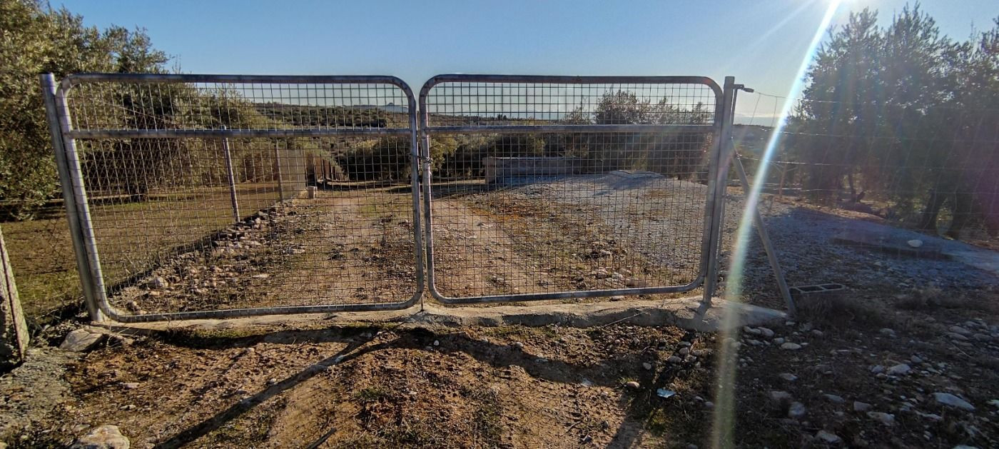 VENTA finca de olivos en paraje Lomas de vitar - foto 2