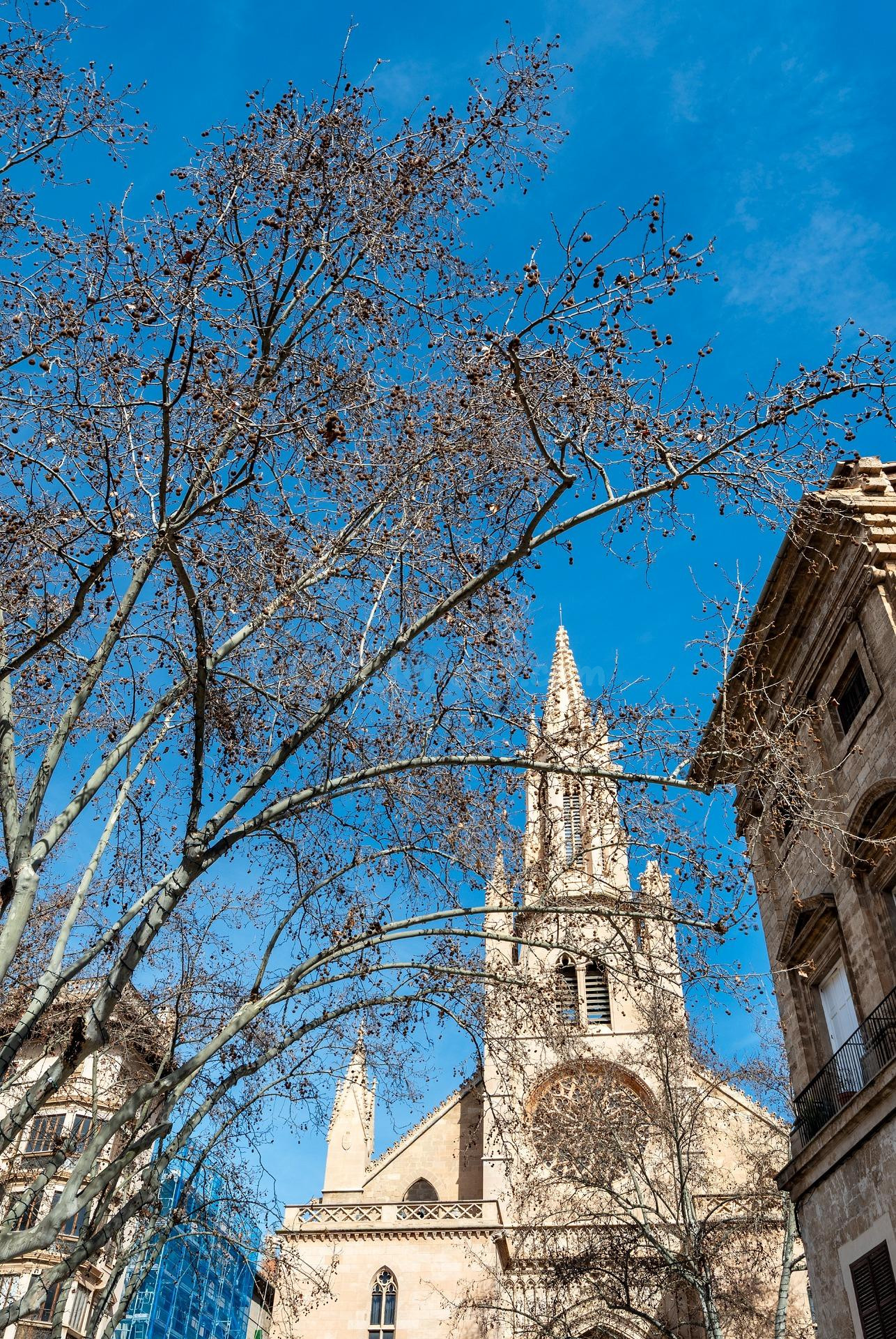 Edificio de 10 viviendas en venta en el casco antiguo de Pal - foto 5