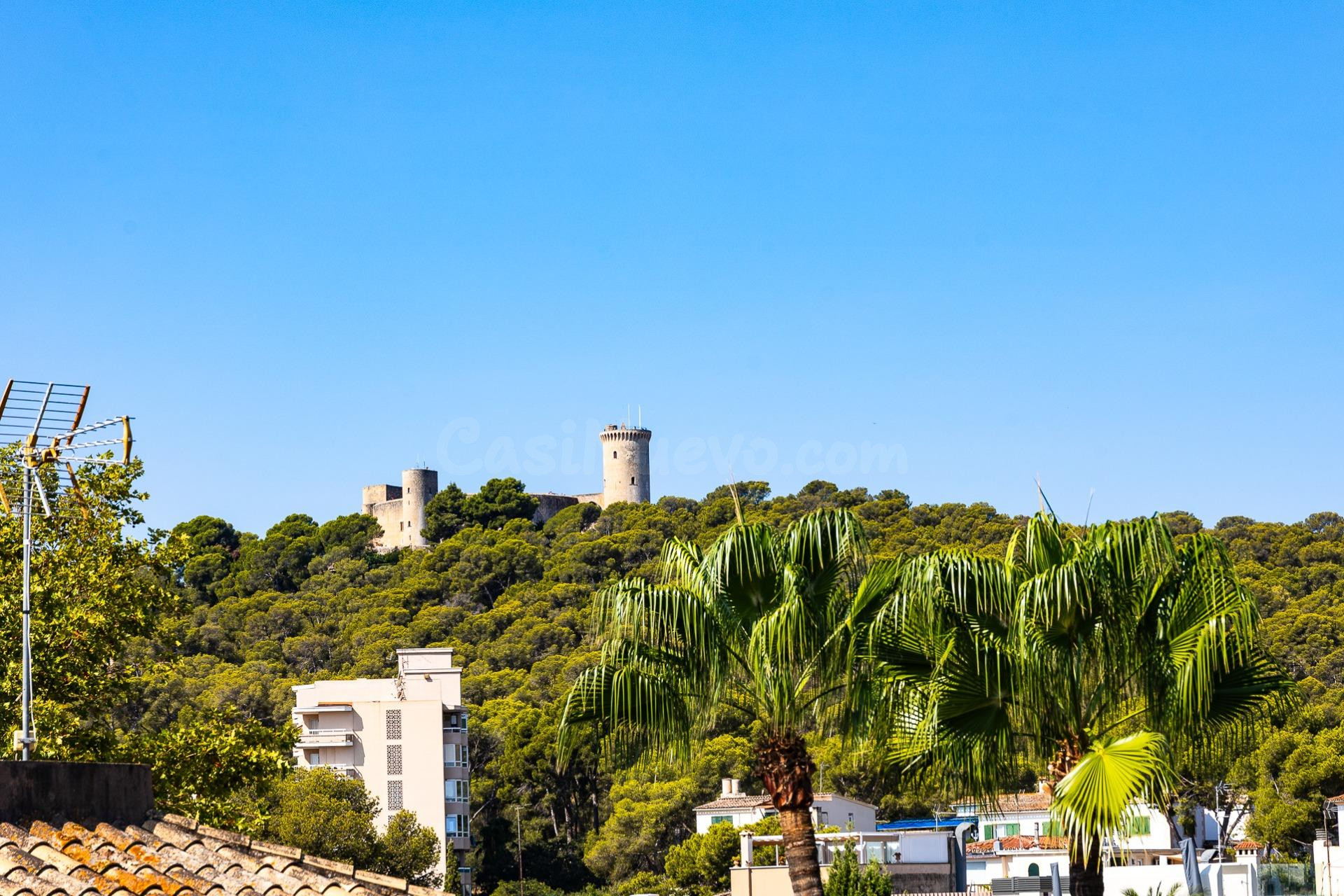 ALQUILER ATICO DUPLEX EN SON ARMADAMS PALMA DE MALLORCA - foto 3