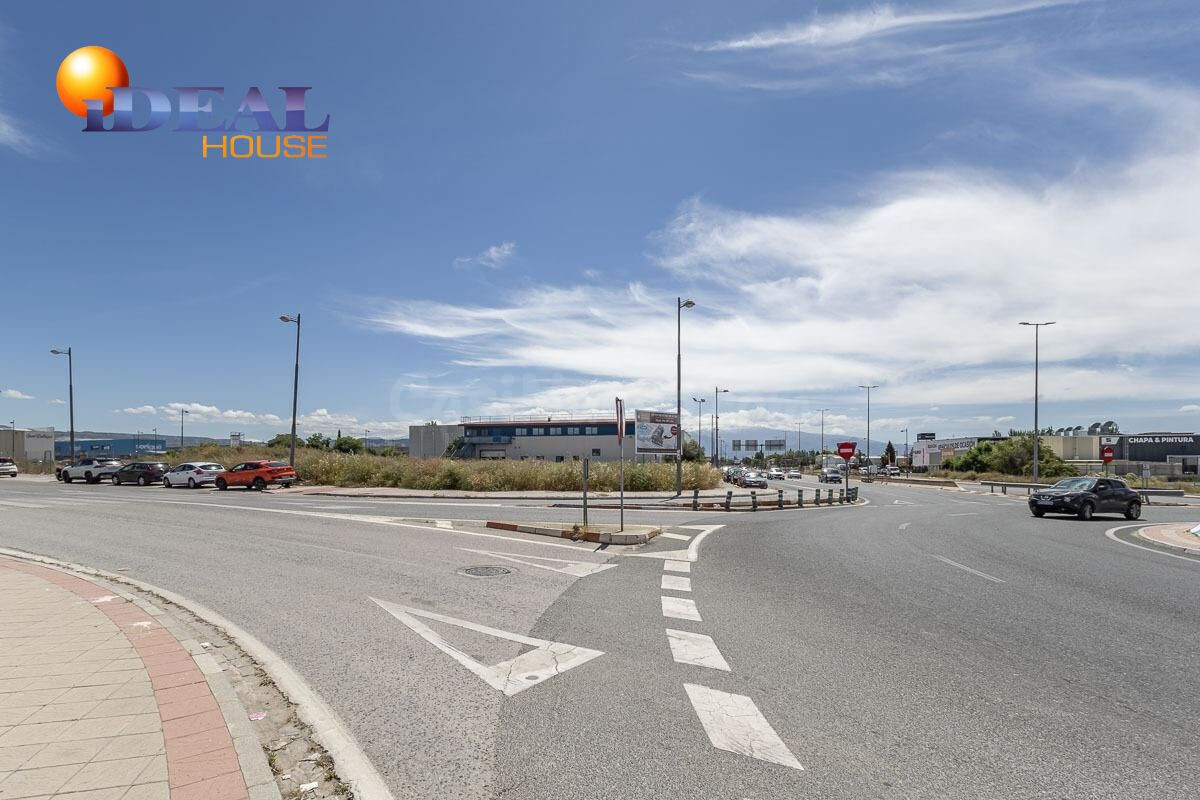 Gran Parcela en Cortijo del Conde - foto 3