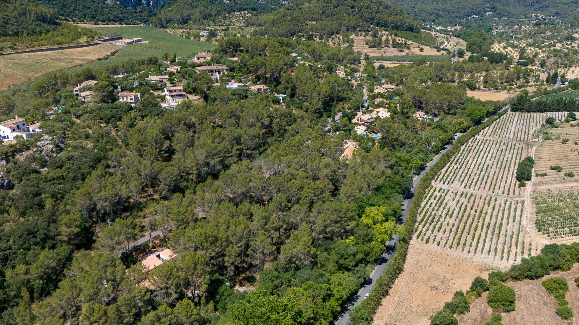 Solar urbano en venta en Son Serralta (Puigpunyent) - foto 3