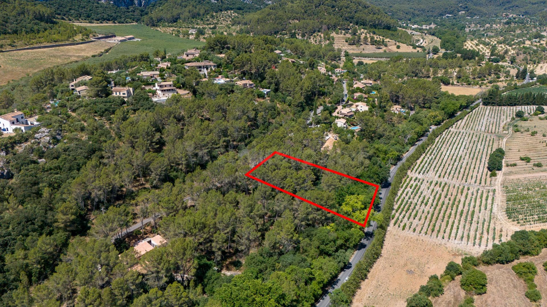 Solar urbano en venta en Son Serralta (Puigpunyent) - foto 4