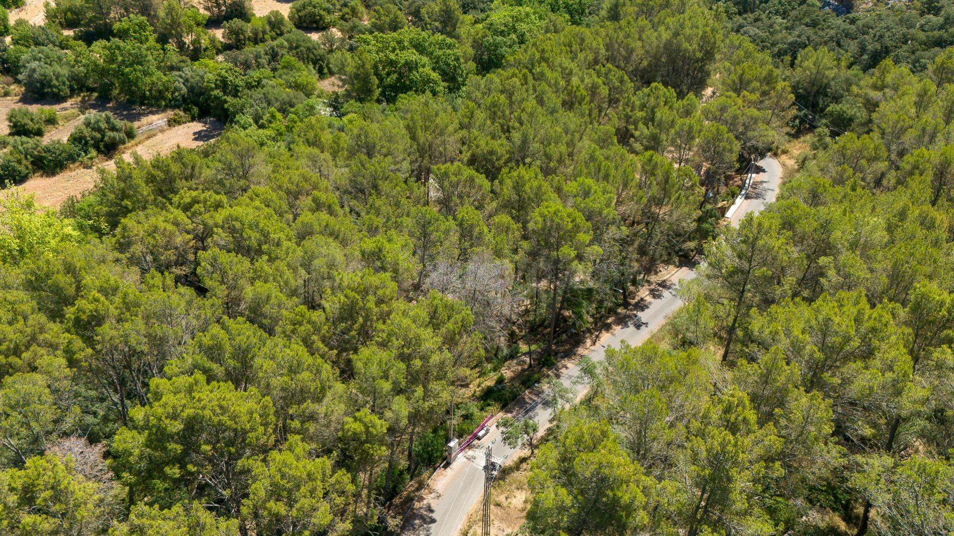 Solar urbano en venta en Son Serralta (Puigpunyent) - foto 5