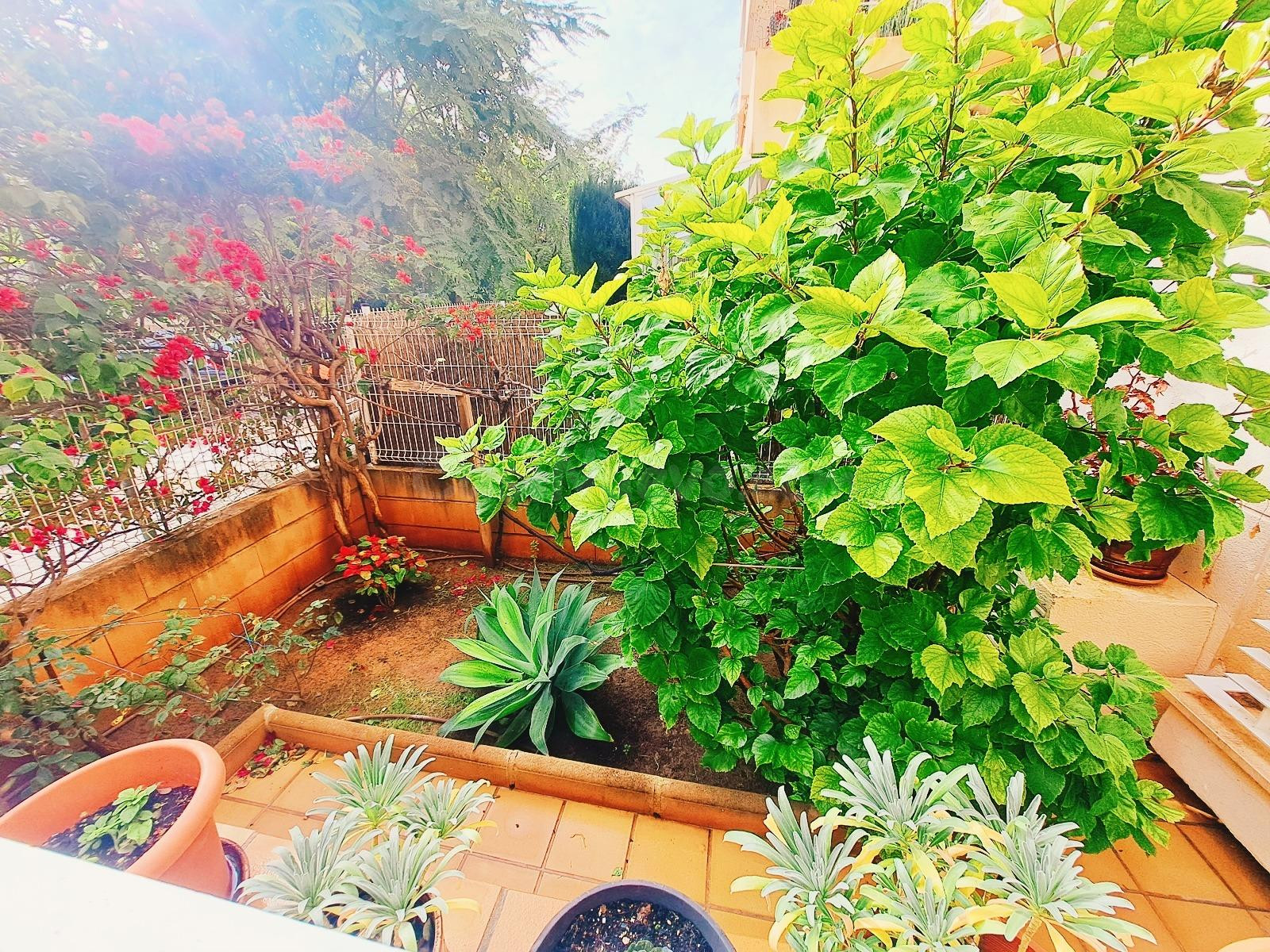 PLANTA BAJA EN SON CALIU CON TERRAZA, JARDIN Y PARKING PRIVA - foto 4