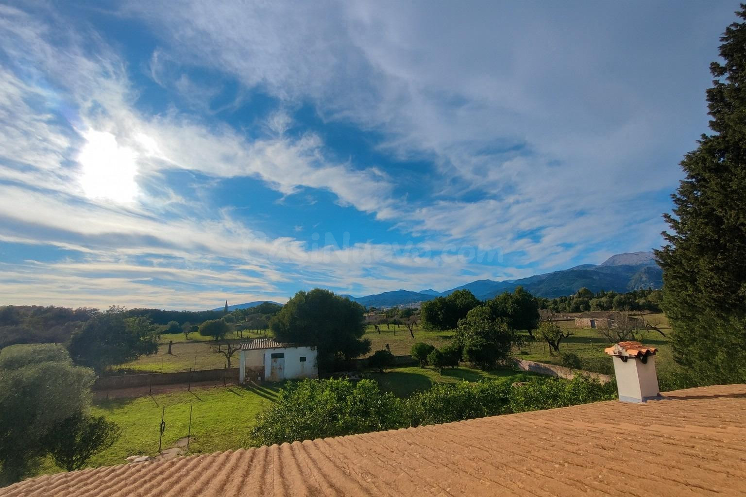 ENCANTADORA FINCA RÚSTICA EN MOSCARI - foto 4