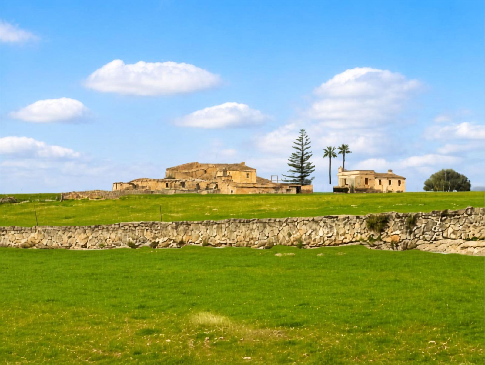 Finca Histórica de 46.437 m2: y con una construcción de 973m - foto 3