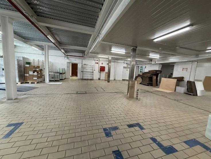 Inversión Top en Son Castelló! Nave Premium con PlusValía y  - foto 2