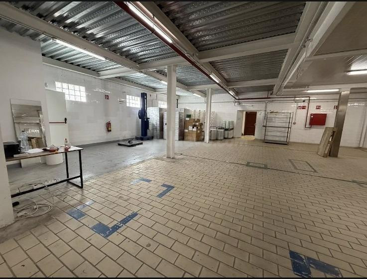 Inversión Top en Son Castelló! Nave Premium con PlusValía y  - foto 3