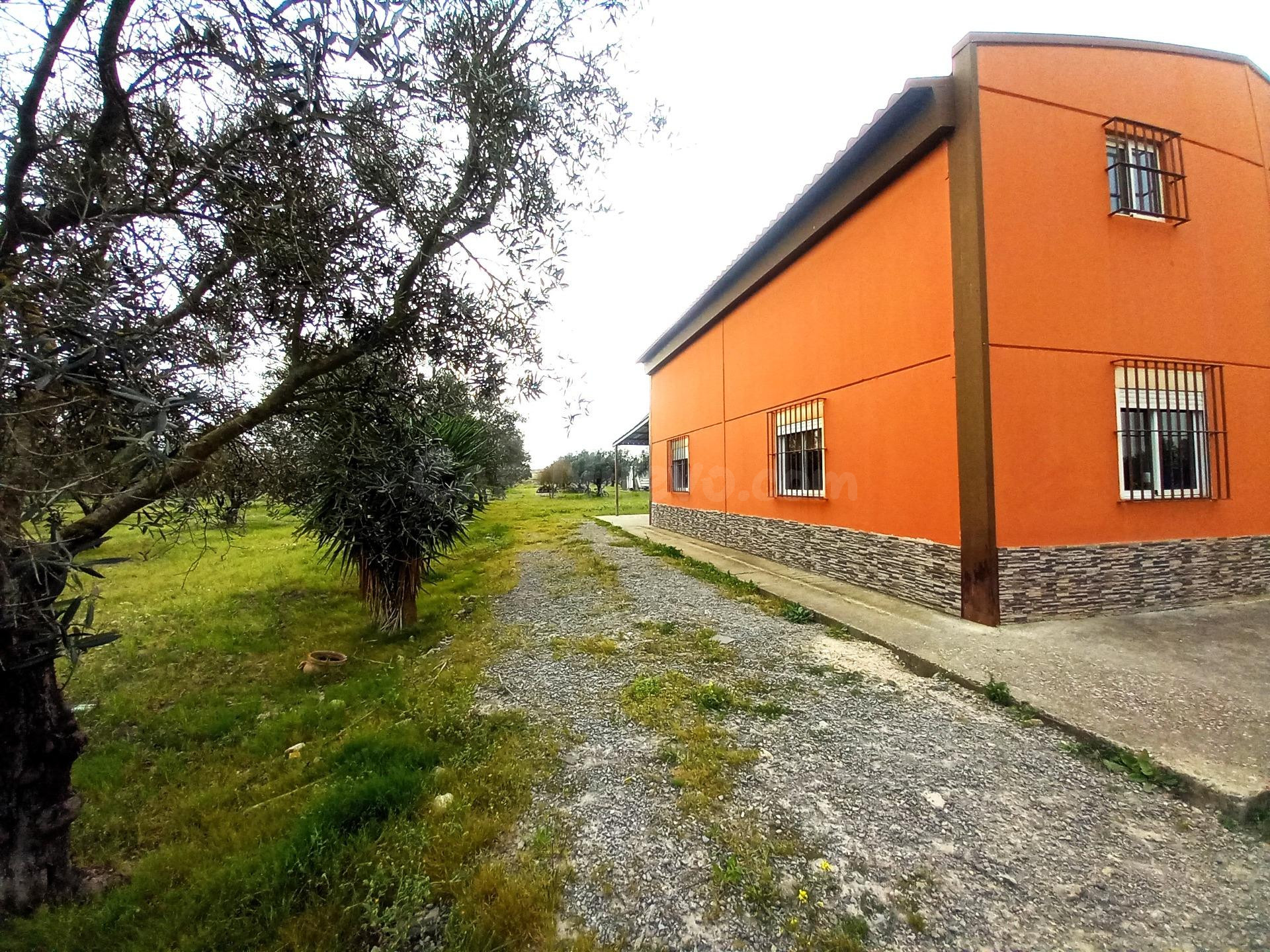 Espectacular Parcela Rústica con Casa y Amplias Posibilidade - foto 2