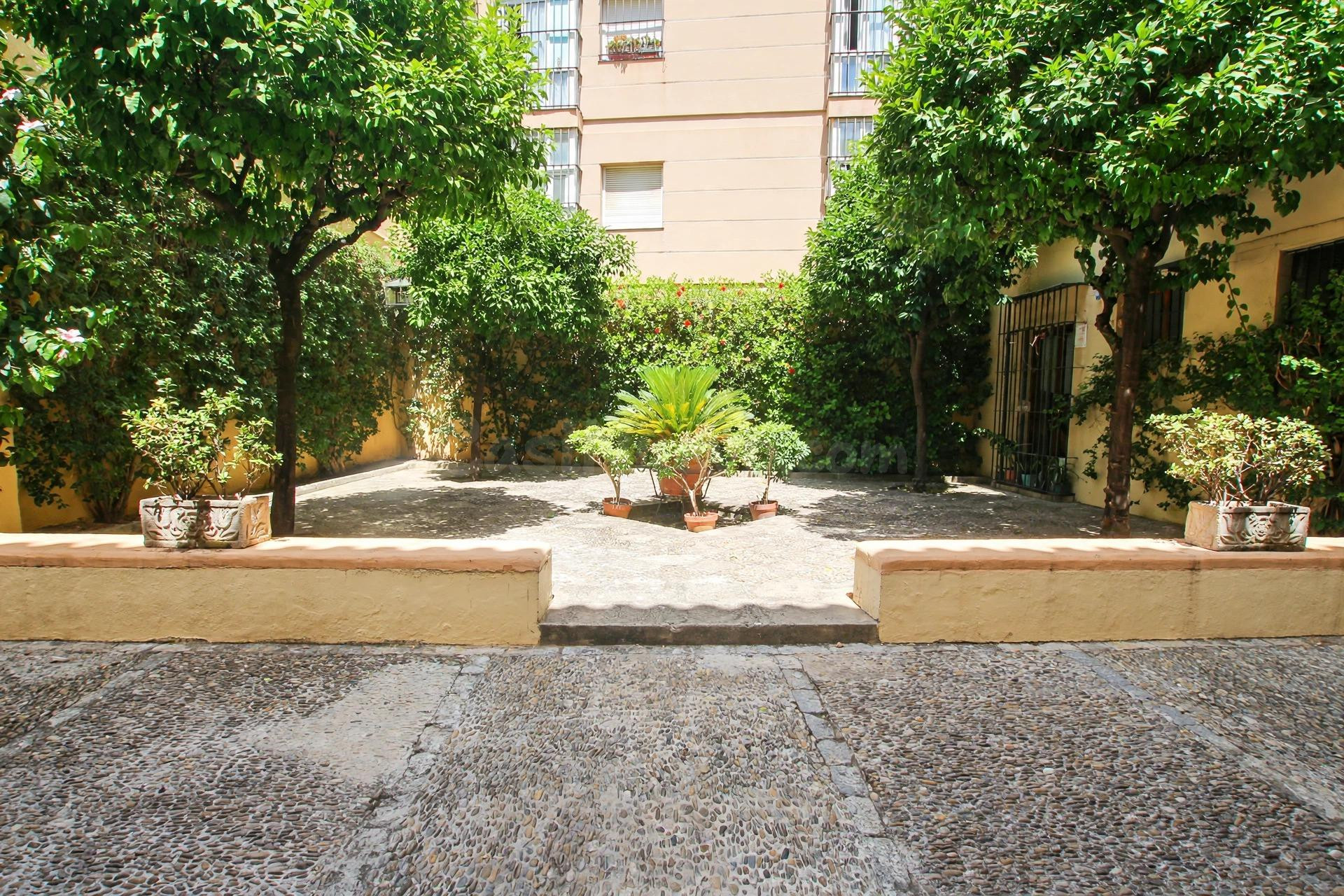 PISO CON 3 PLAZAS DE GARAJE ZONA CENTRO - foto 2
