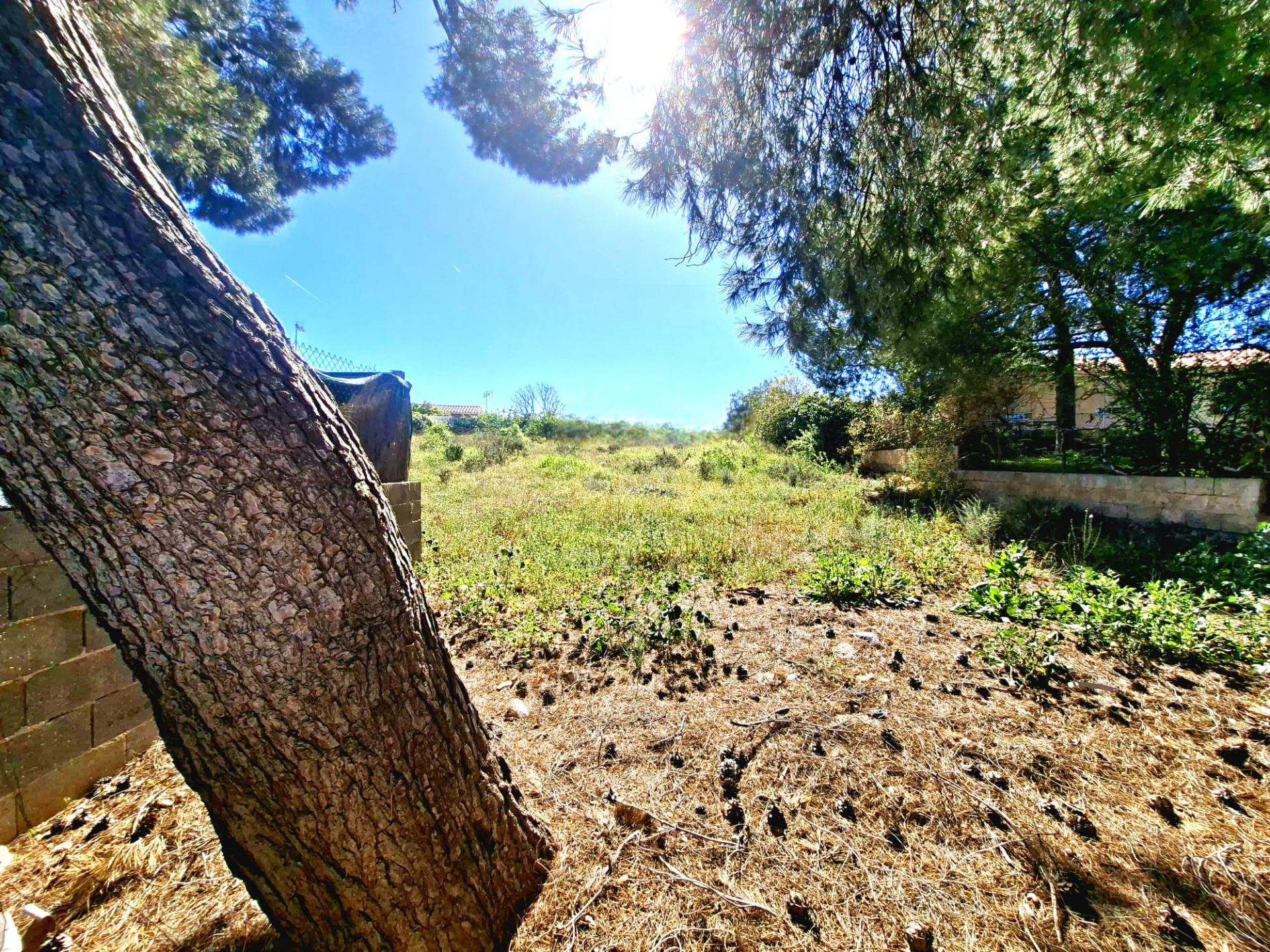 SOLAR EN VENTA, LA CAÑADA BÉTERA - foto 3