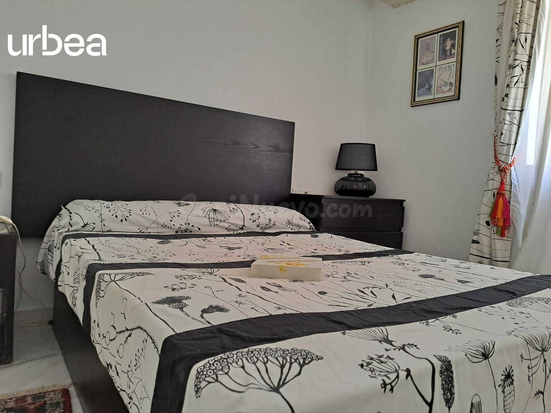 Vivienda en alquiler en la Malagueta con vistas a la plaza d - foto 5