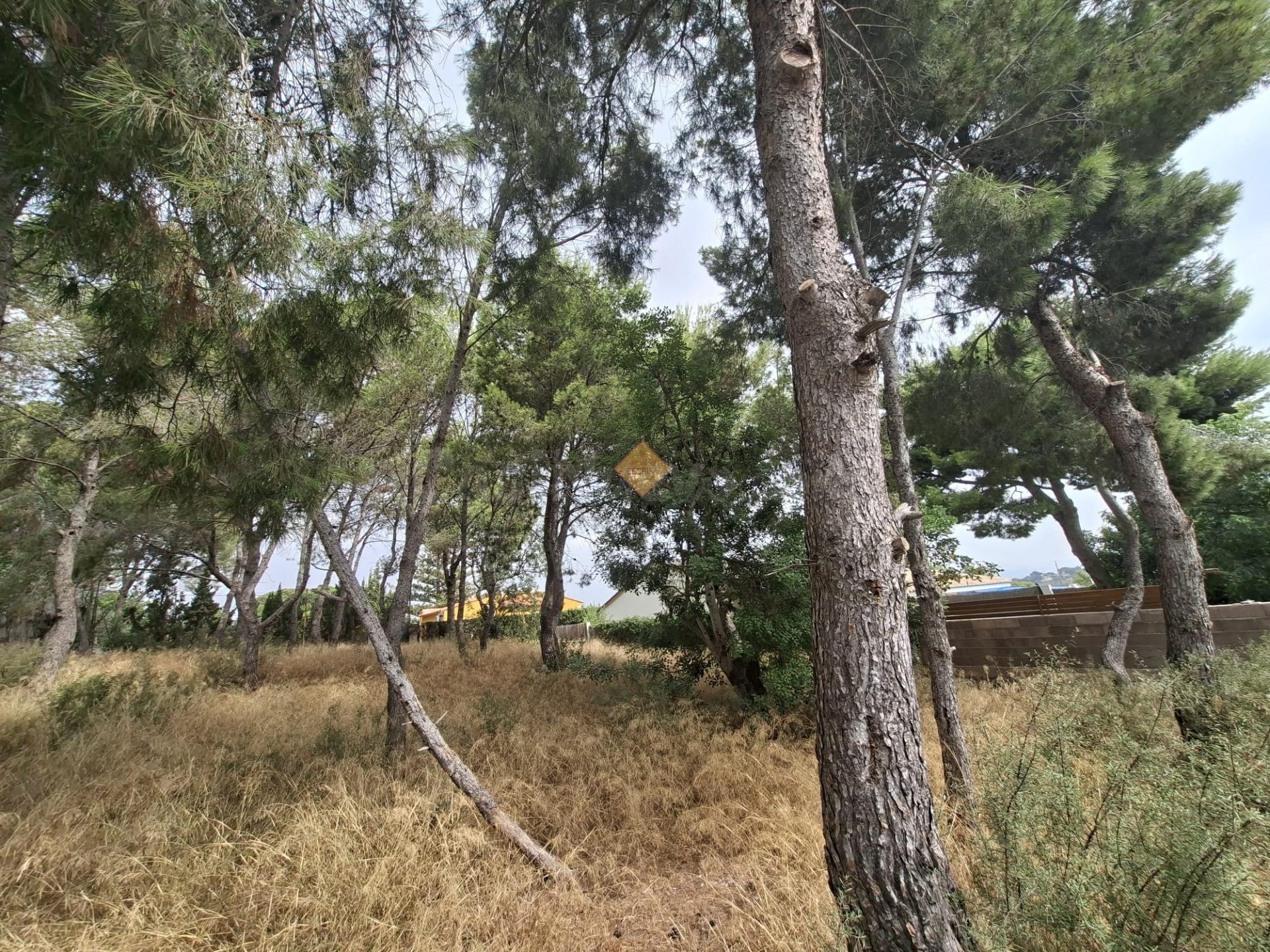 SE VENDE TERRENO URBANO EN LA ZONA DE MONTESOL BÉTERA - foto 3