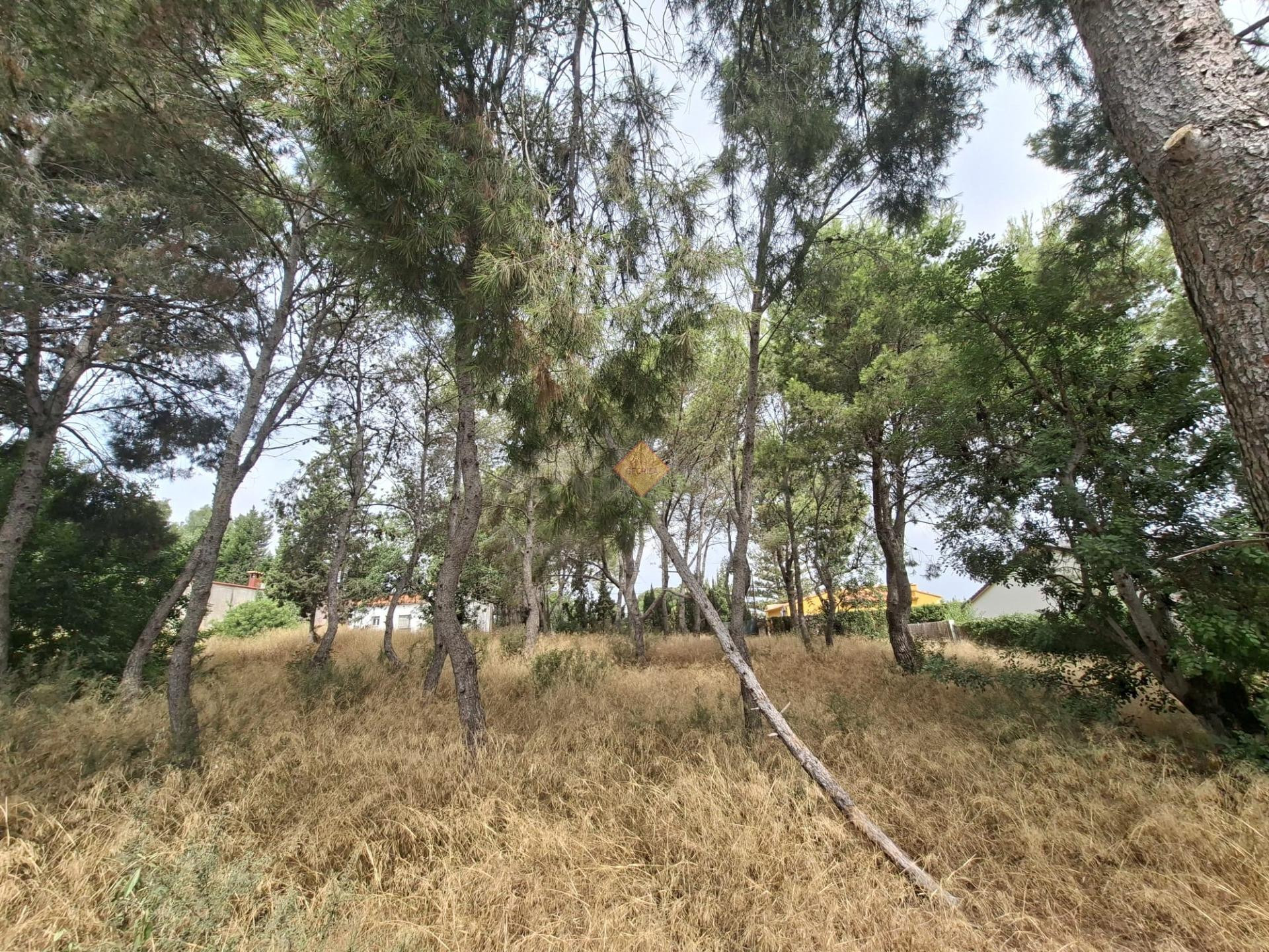 SE VENDE TERRENO URBANO EN LA ZONA DE MONTESOL BÉTERA - foto 4