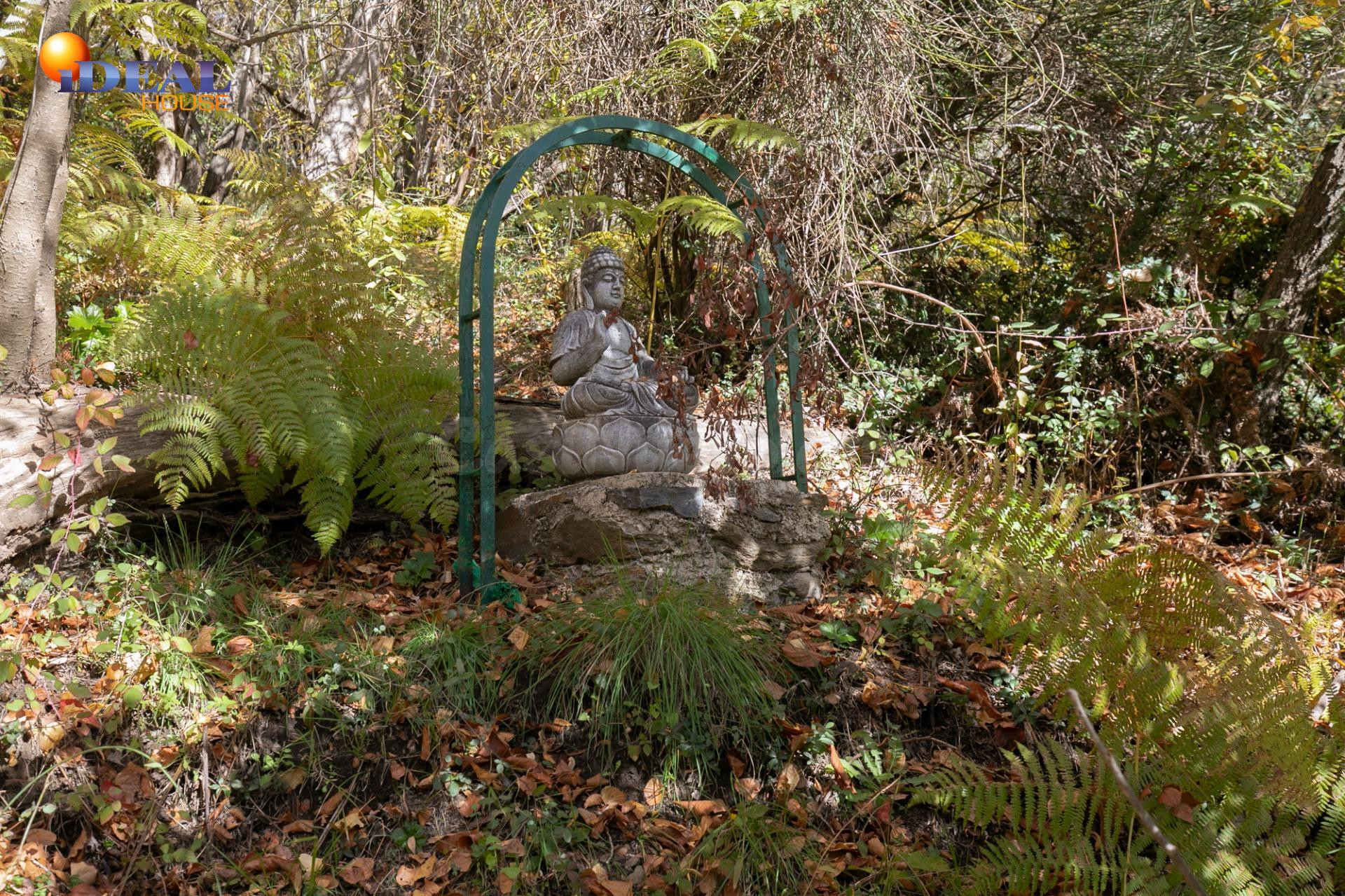 Cortijo La Jara – Un refugio de ensueño en La Alpujarra - foto 3