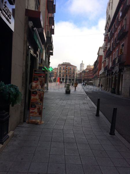 OFICINA CALLE PASION - foto 4