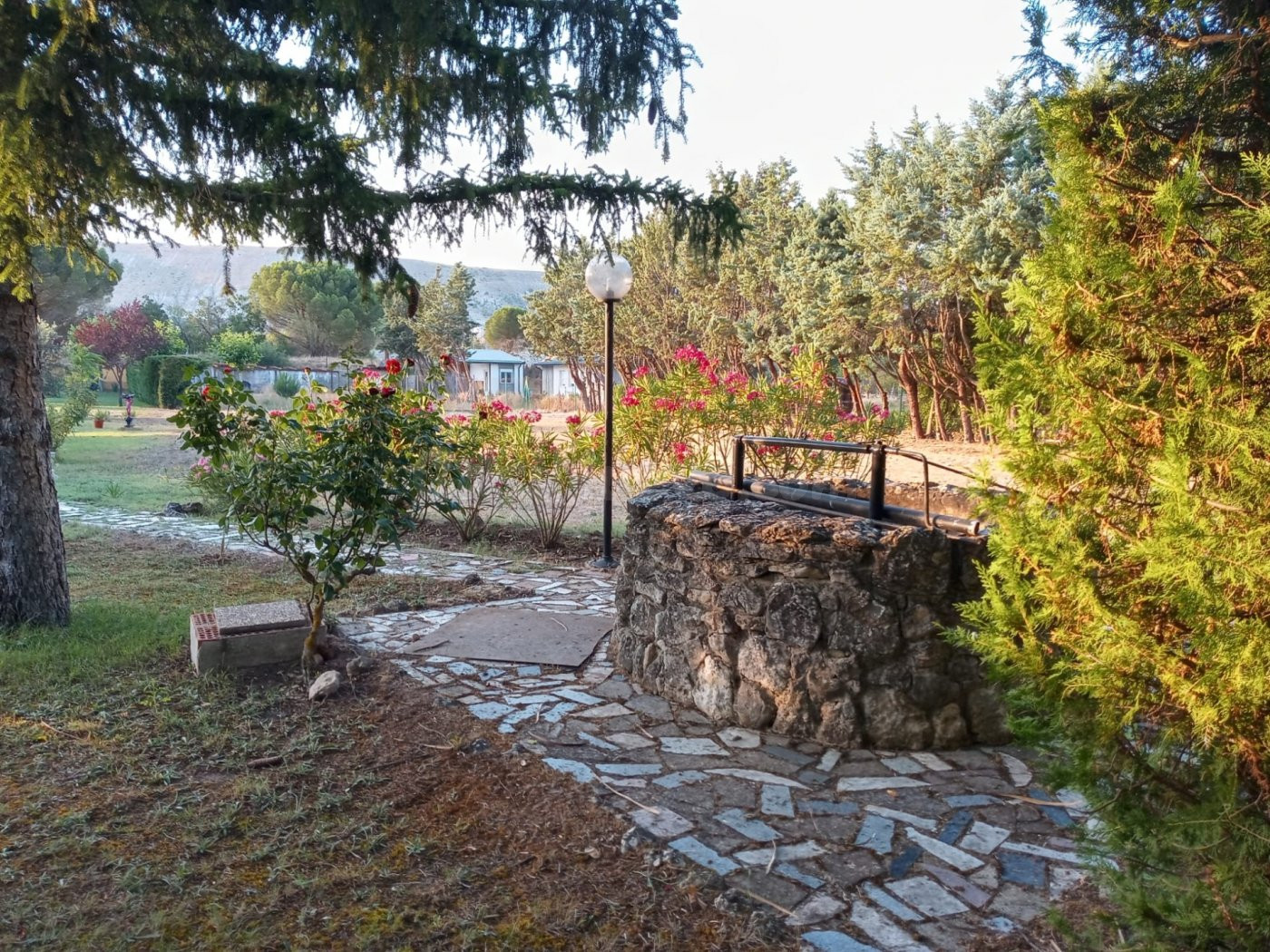 PARCELA EN DEHESA DE PEÑALBA - foto 2