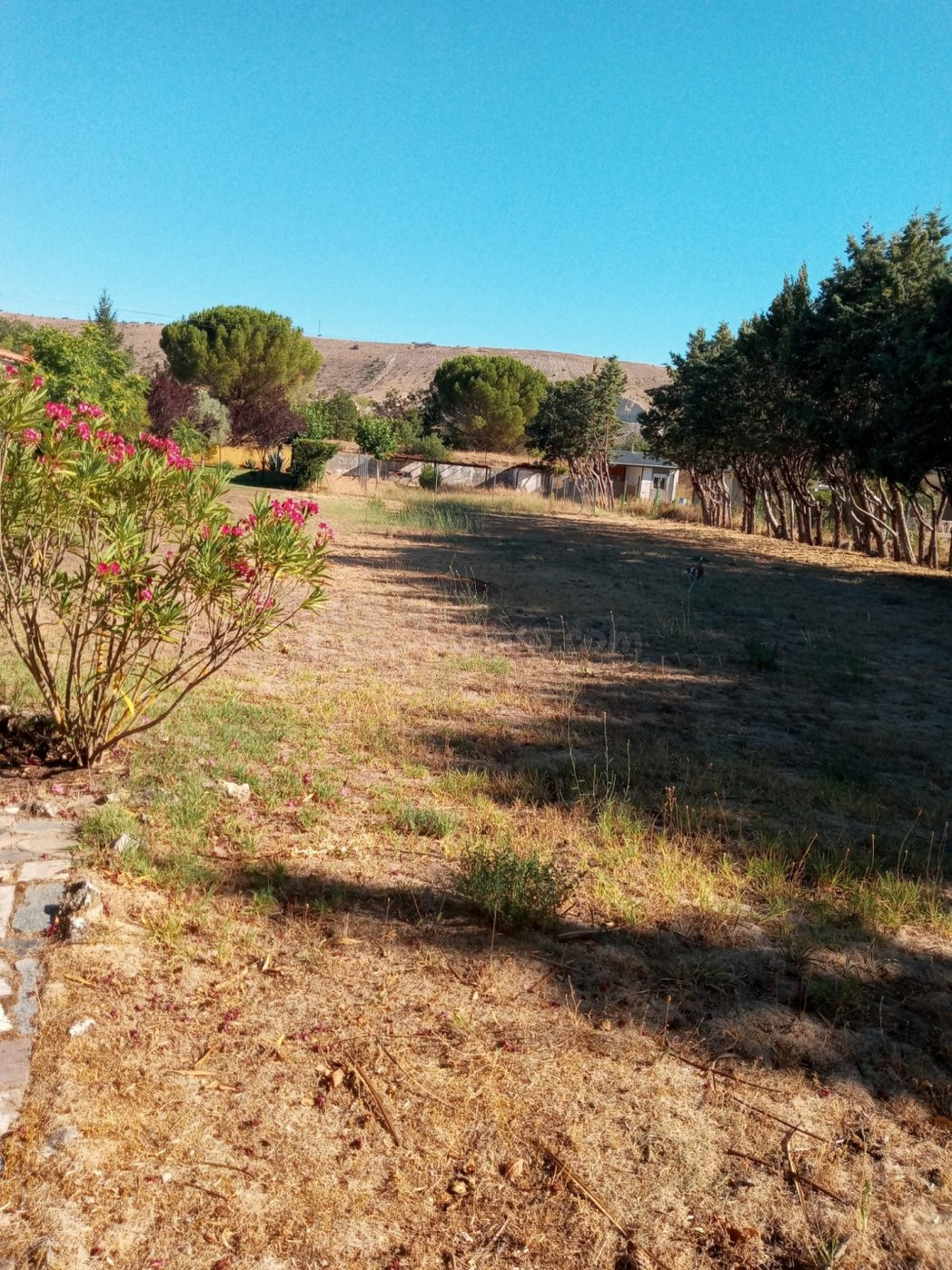 PARCELA EN DEHESA DE PEÑALBA - foto 5
