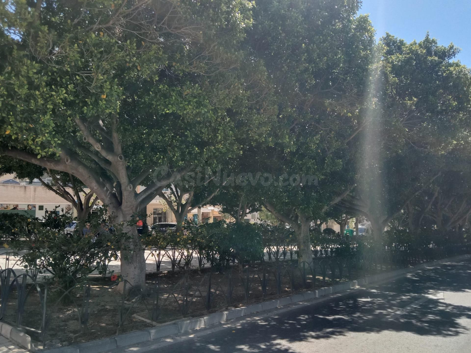 Piso en Gamarra con 4 habs, preciosa terraza esquina además  - foto 4