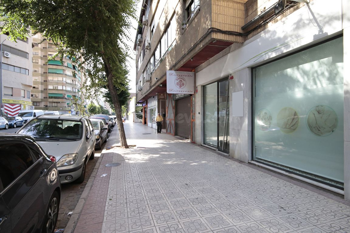 LOCAL EN CALLE ARABIAL - foto 3