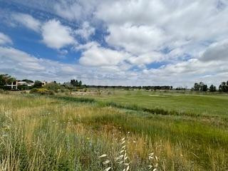 Parcela en venta en Aldeamayor Golf - foto 5