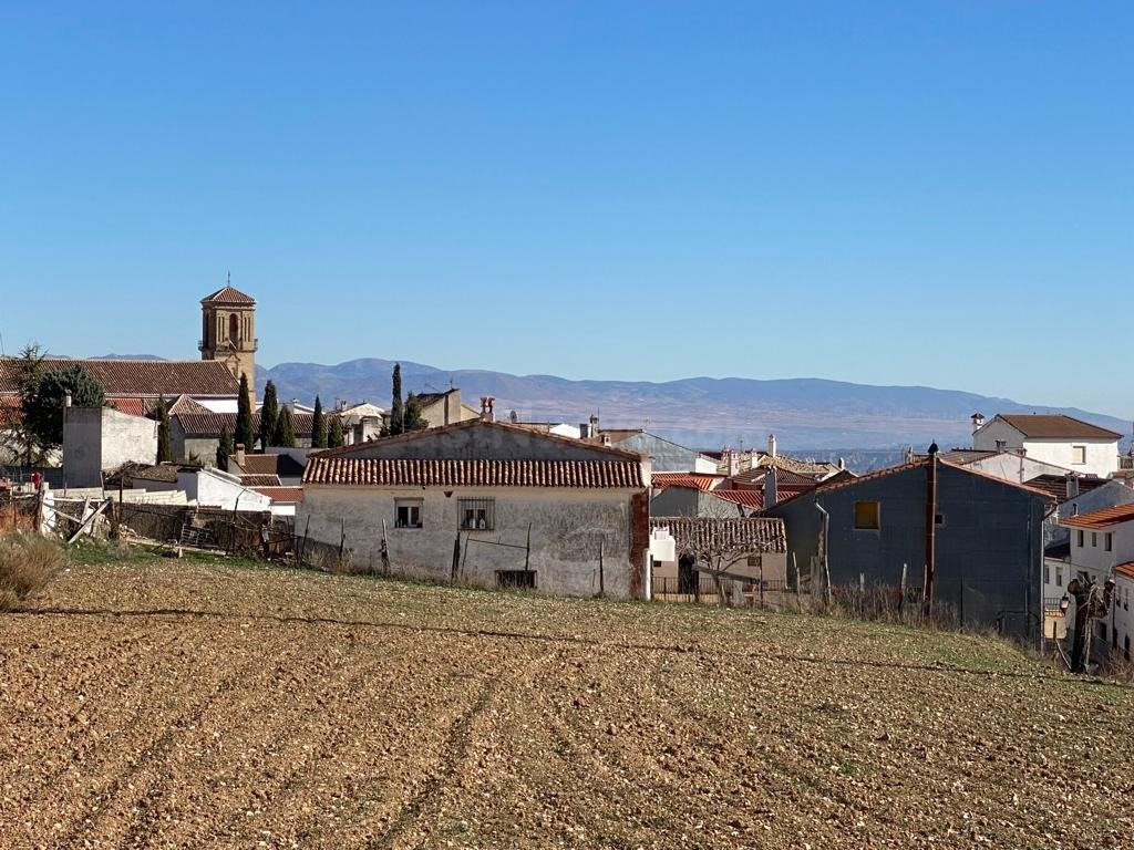 en venta solar en diezma para la construcción de unifamiliar - foto 4