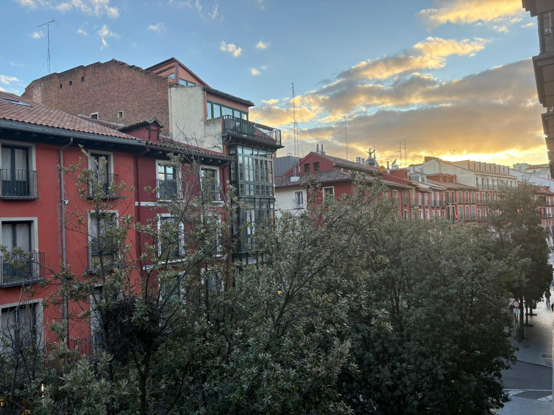 OFICINA EN VALLADOLID (CENTRO) - foto 5