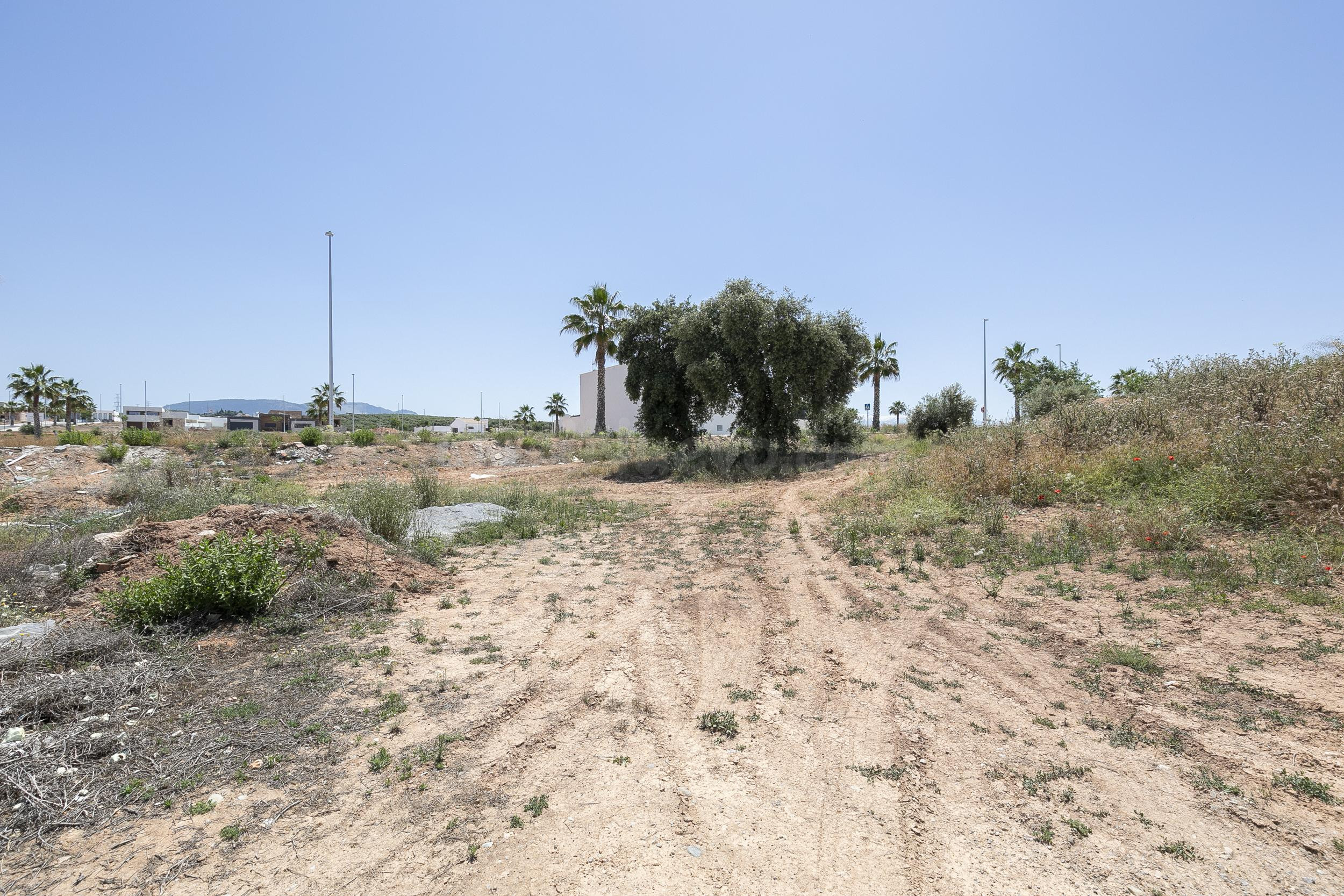 SE VENDE PARCELA URBANA EN LA URBANIZACIÓN LA NATIVA – ALBOL - foto 4