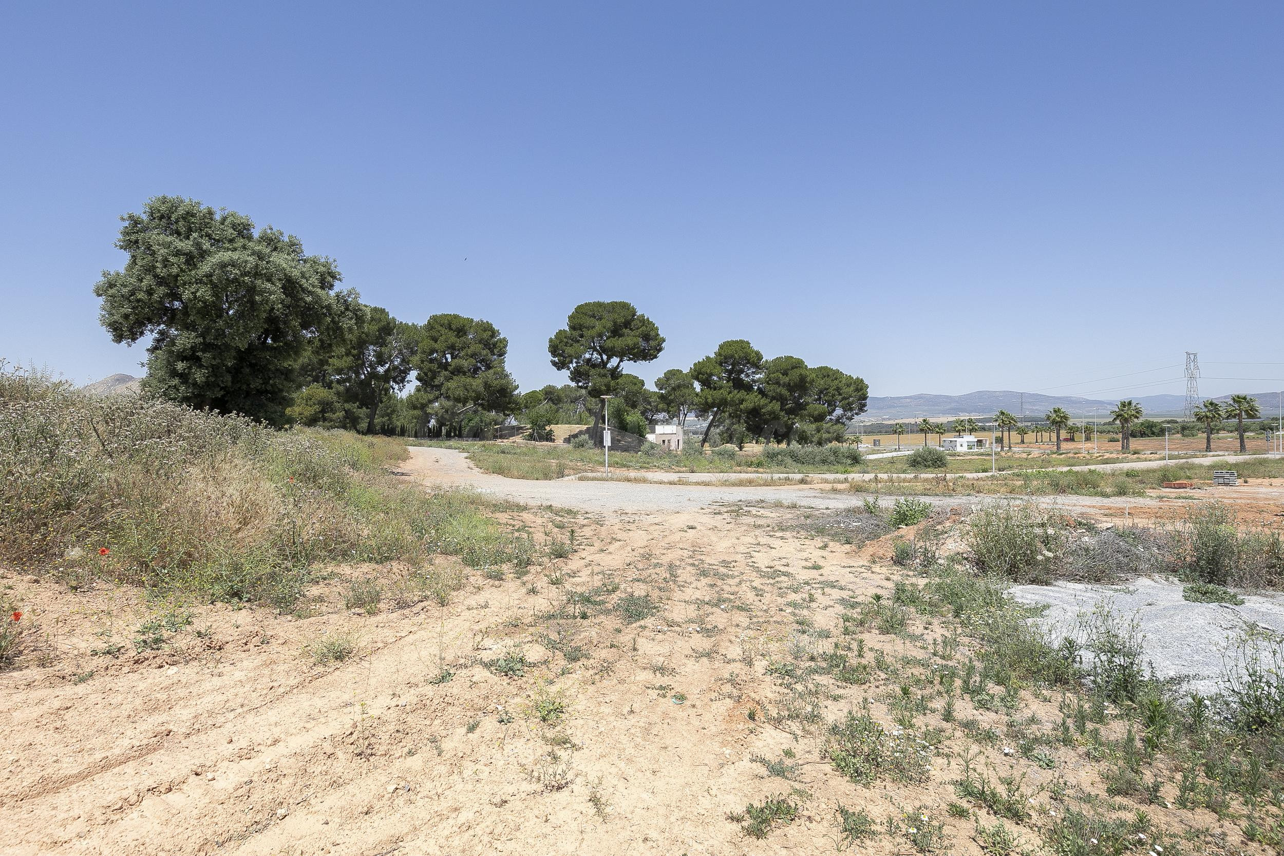 SE VENDE PARCELA URBANA EN LA URBANIZACIÓN LA NATIVA – ALBOL - foto 5