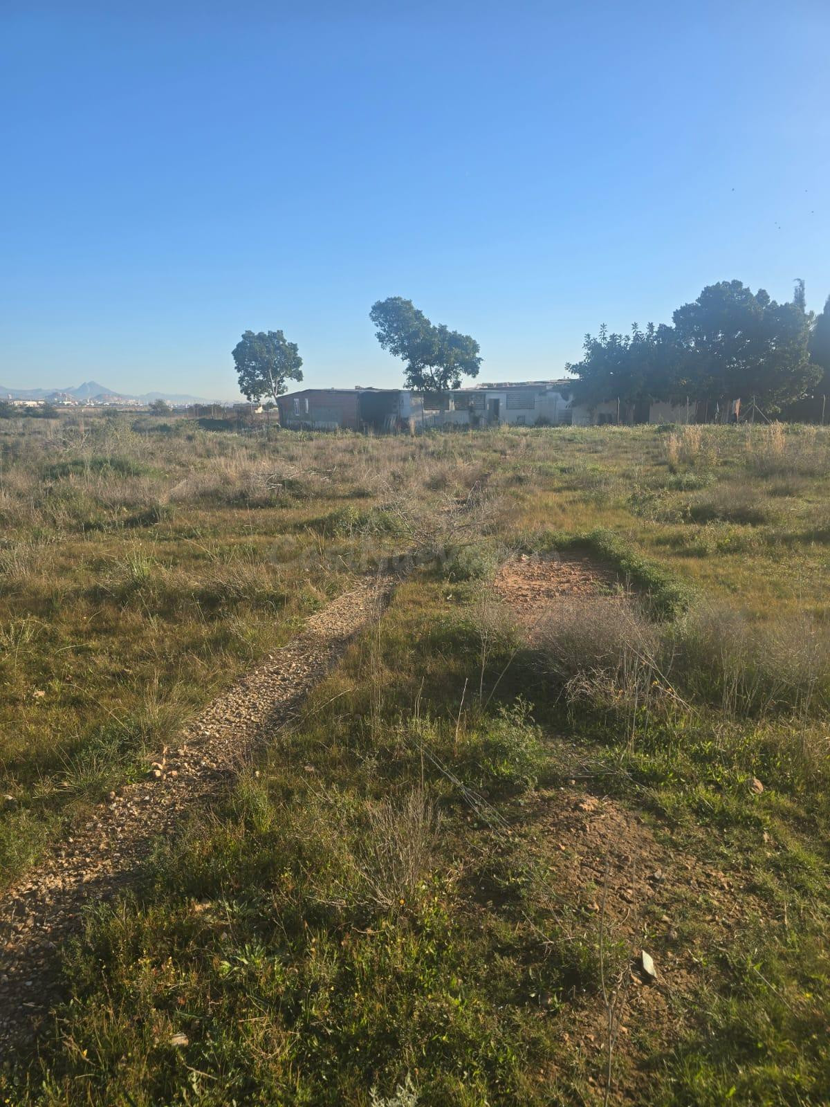 PARCELA EN EL ALTET