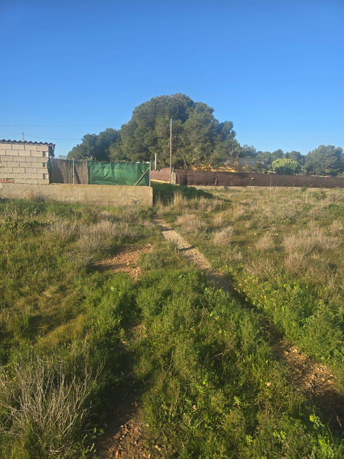 PARCELA EN EL ALTET - foto 2