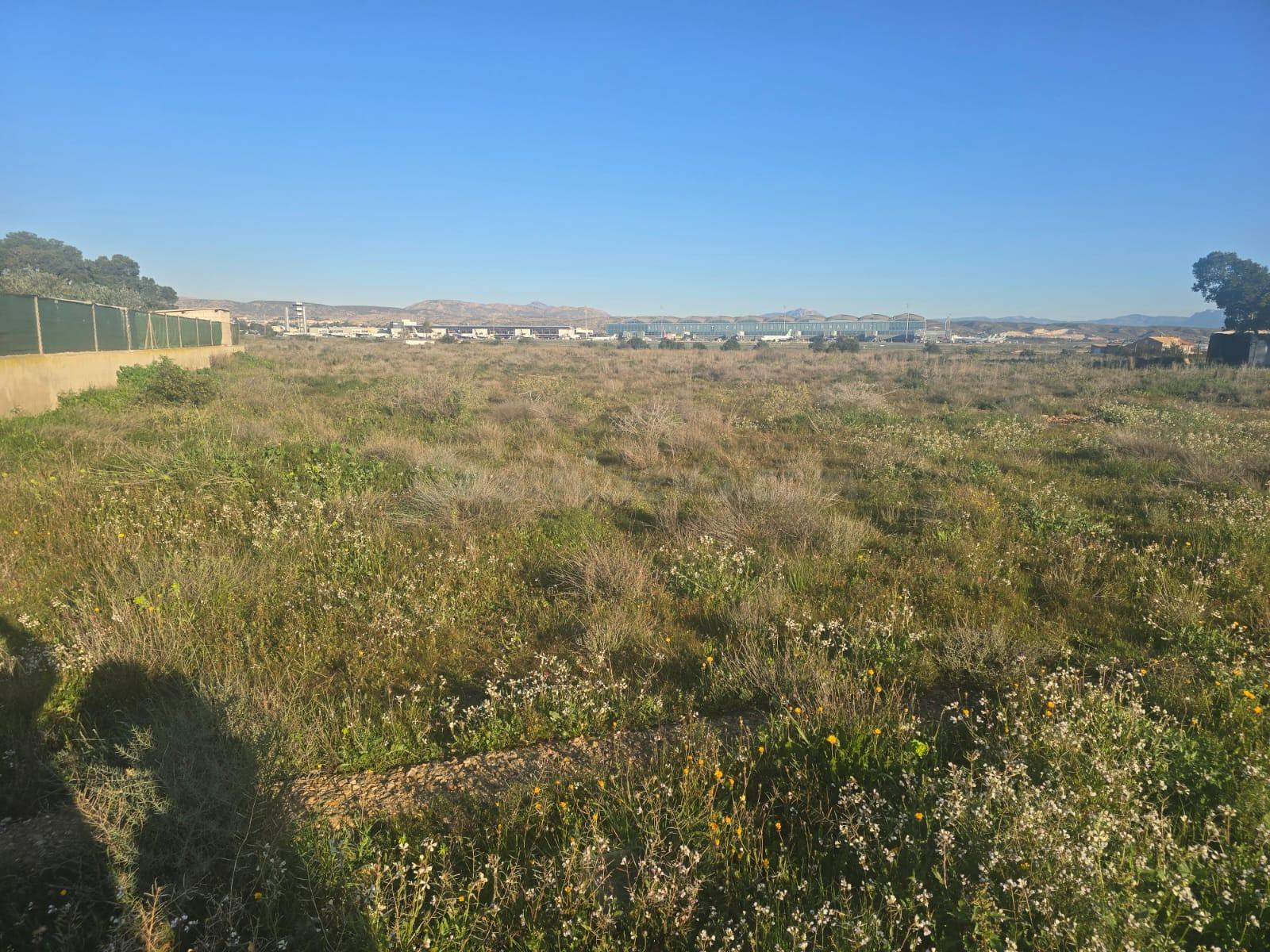 PARCELA EN EL ALTET - foto 4