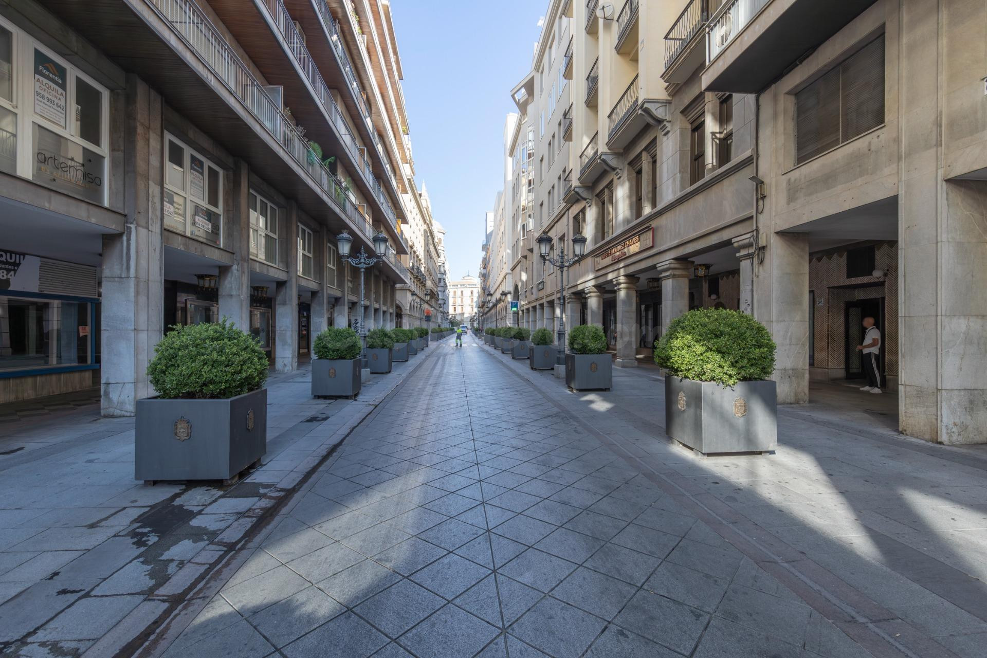 Espacio exclusivo en pleno centro de Granada - Ganivet - foto 4
