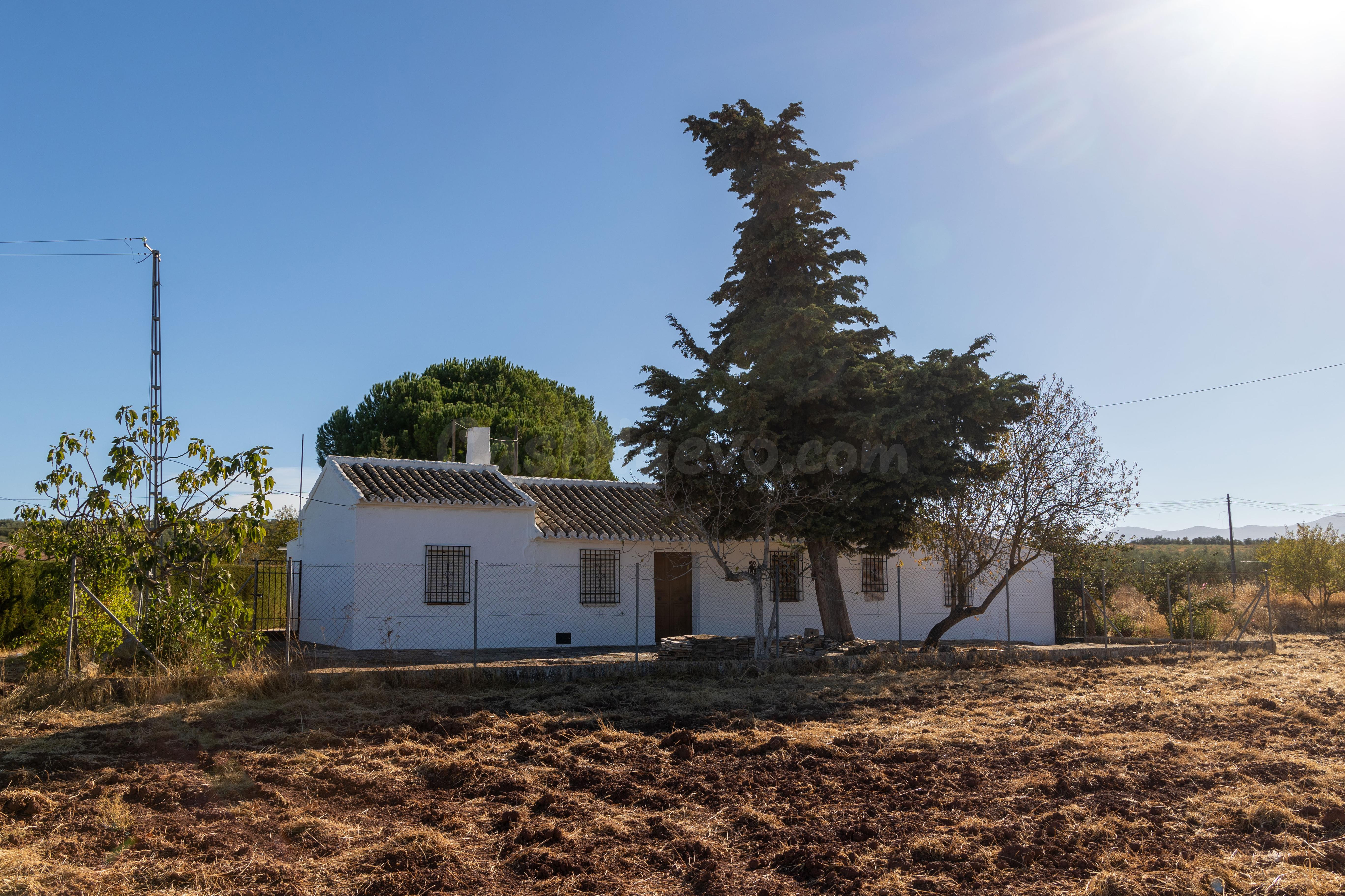 TERRENO A LA VENTA